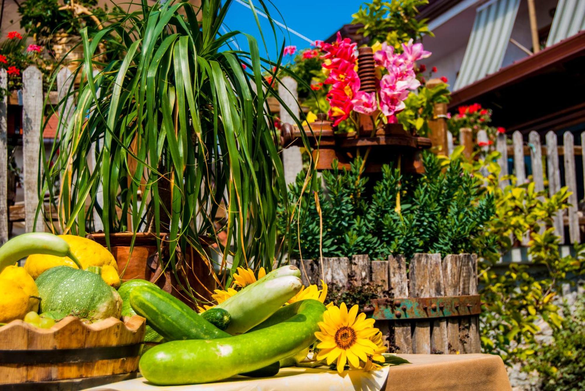 Agriturismo Mare E Monti Agerola Zewnętrze zdjęcie