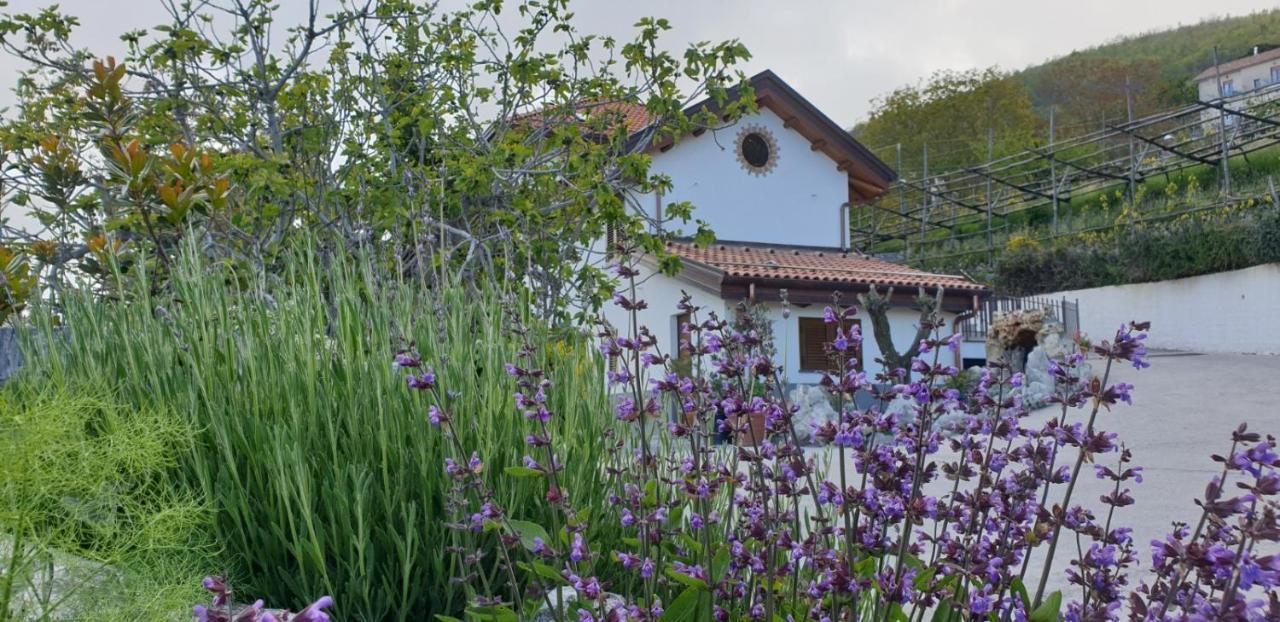 Agriturismo Mare E Monti Agerola Zewnętrze zdjęcie