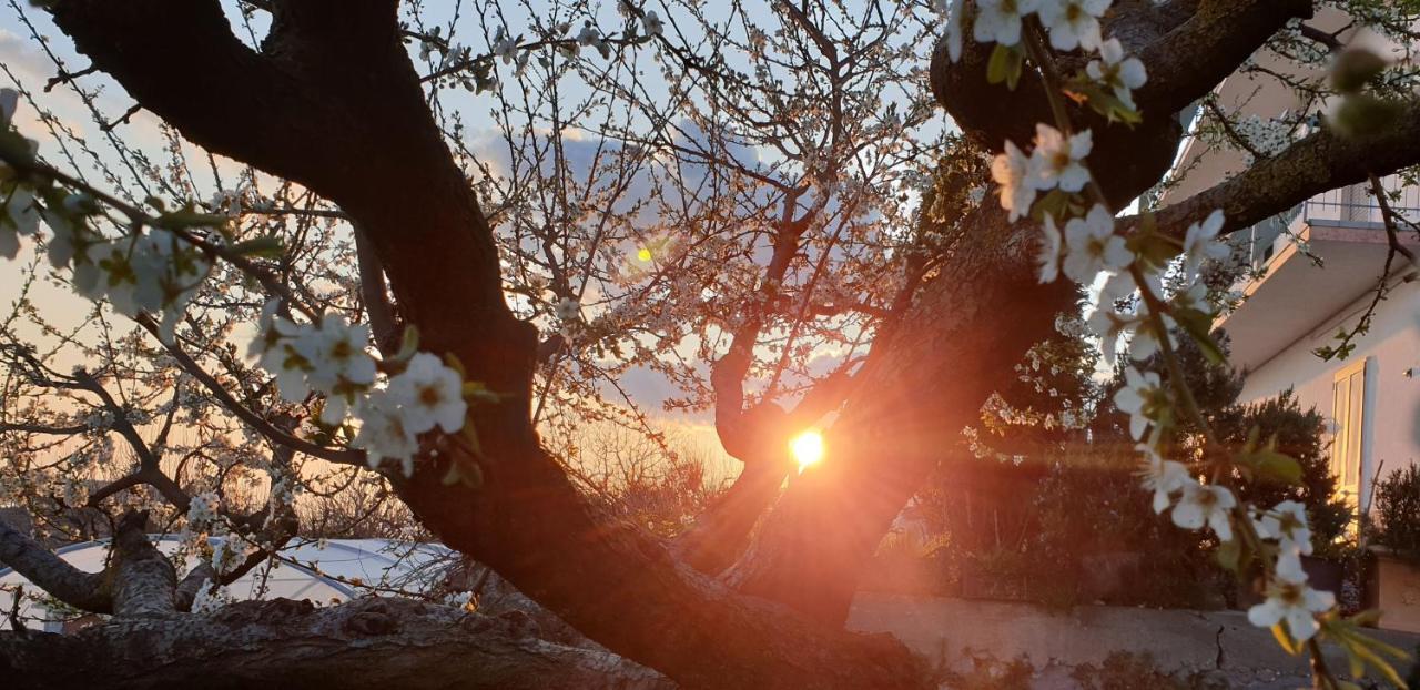 Agriturismo Mare E Monti Agerola Zewnętrze zdjęcie